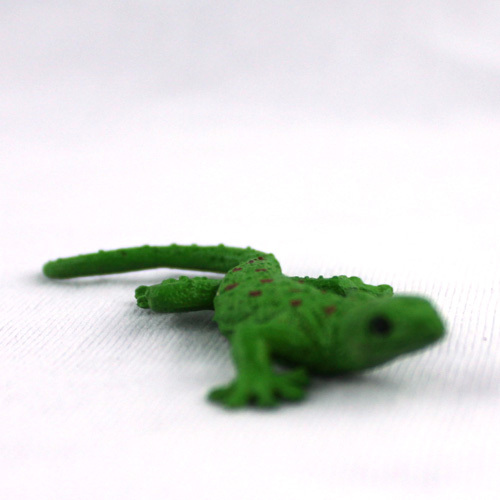 Simulation Lizard Reptile Anim - đánh giá và giá First Bonsai Garden